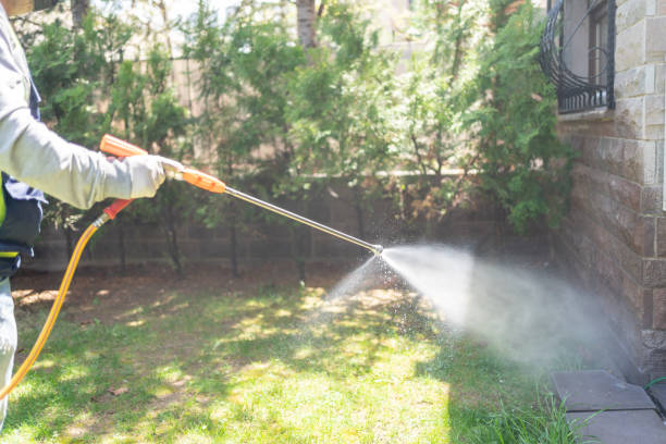 Best Mosquito Control Services  in USA